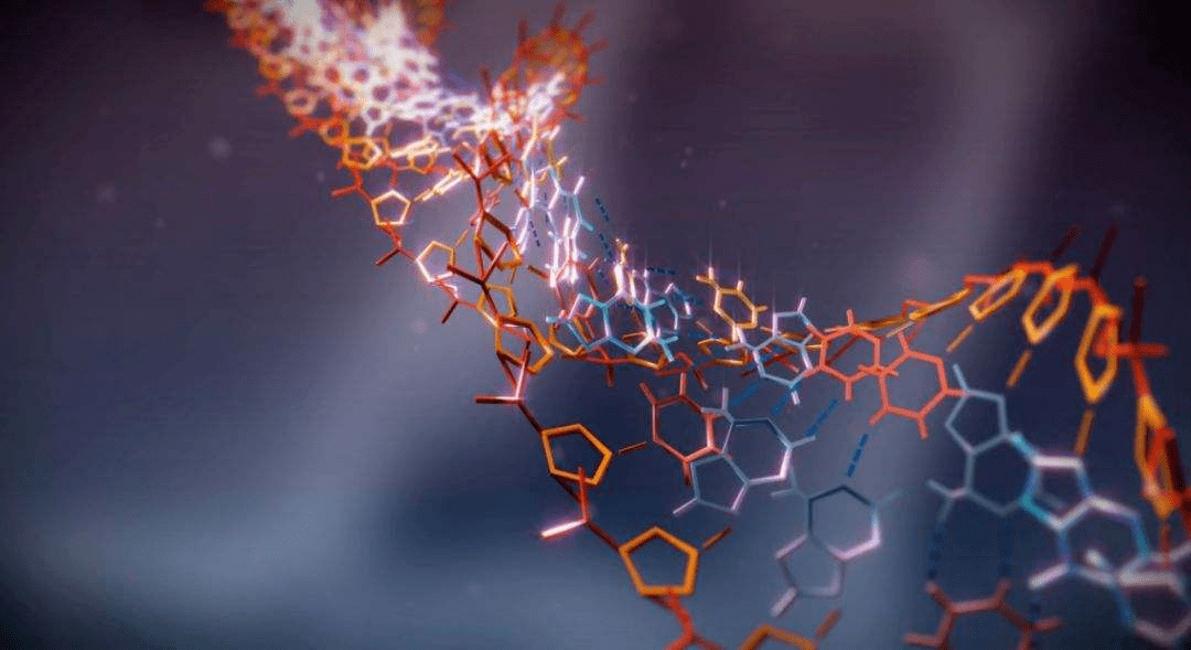 研究|Science News:最新研究揭晓了基因如何控制人类身高这一重大谜题！