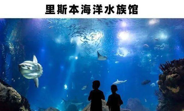 世界top 10水族馆!与水下生物的近距离接触