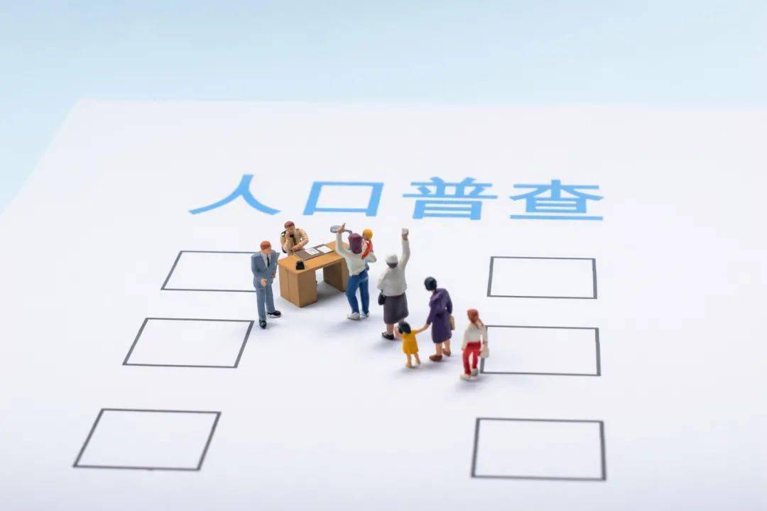 普查人口案例_人口普查(2)