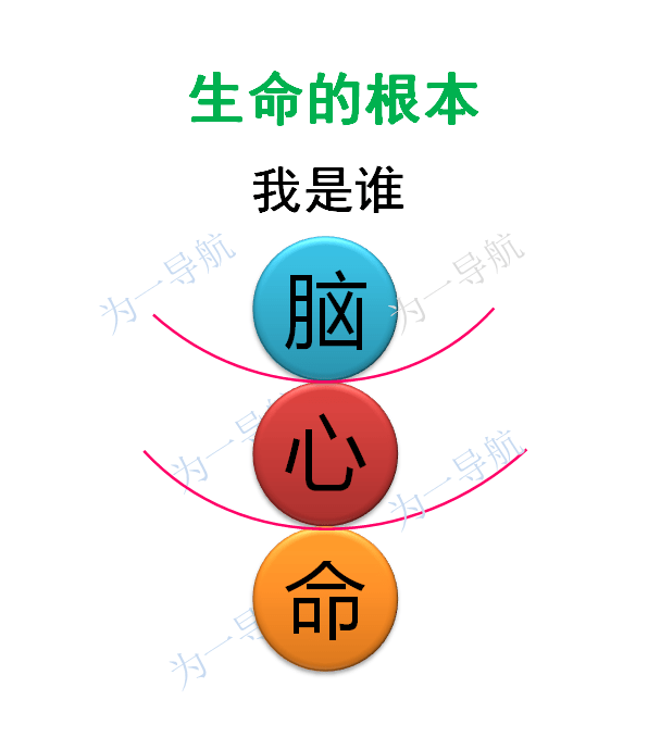 58ef2eb13ade4644ad2791cd4f6579a5.png