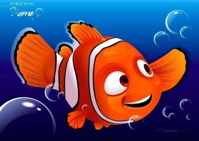 浪涛碧海 第十八期:小丑鱼 大家记得迪士尼动画片《海底总动员》中的