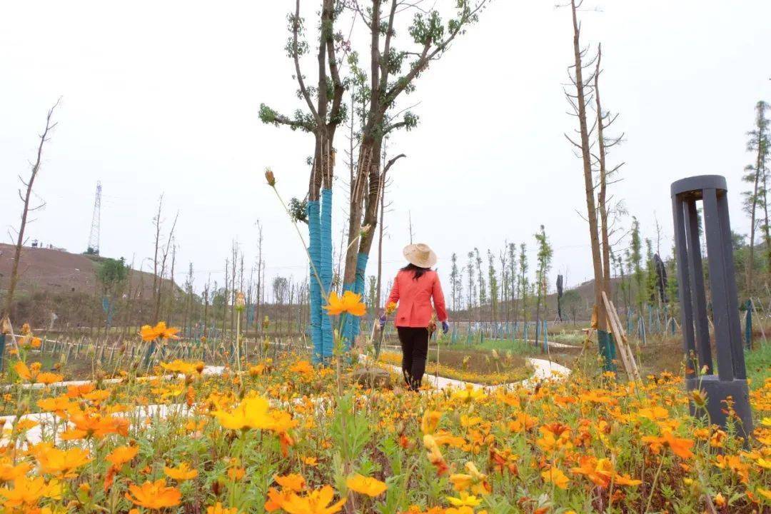 白岩寨公园建设已接近尾声