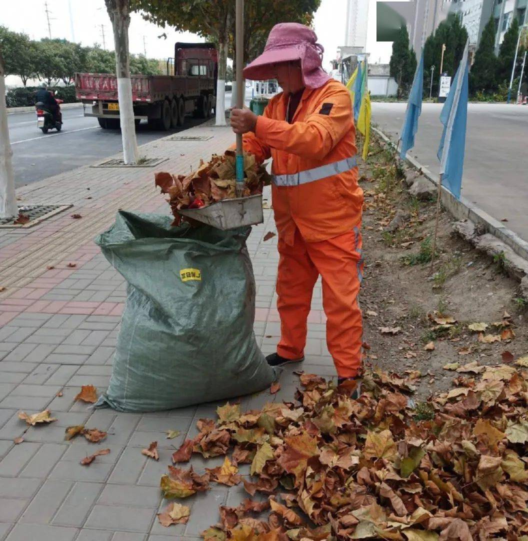 立冬来落叶起环卫工人清扫忙