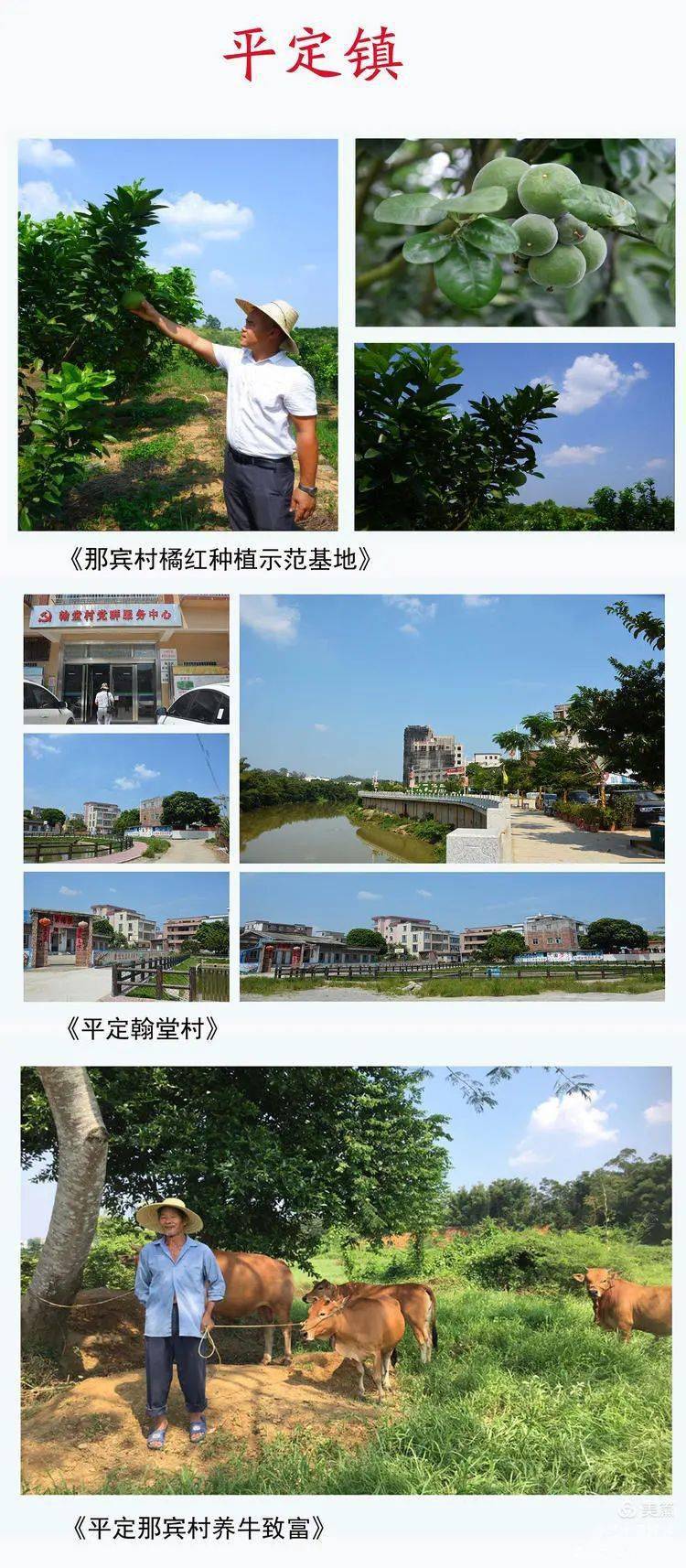 化州市各镇各村人口_化州市各镇地图全图