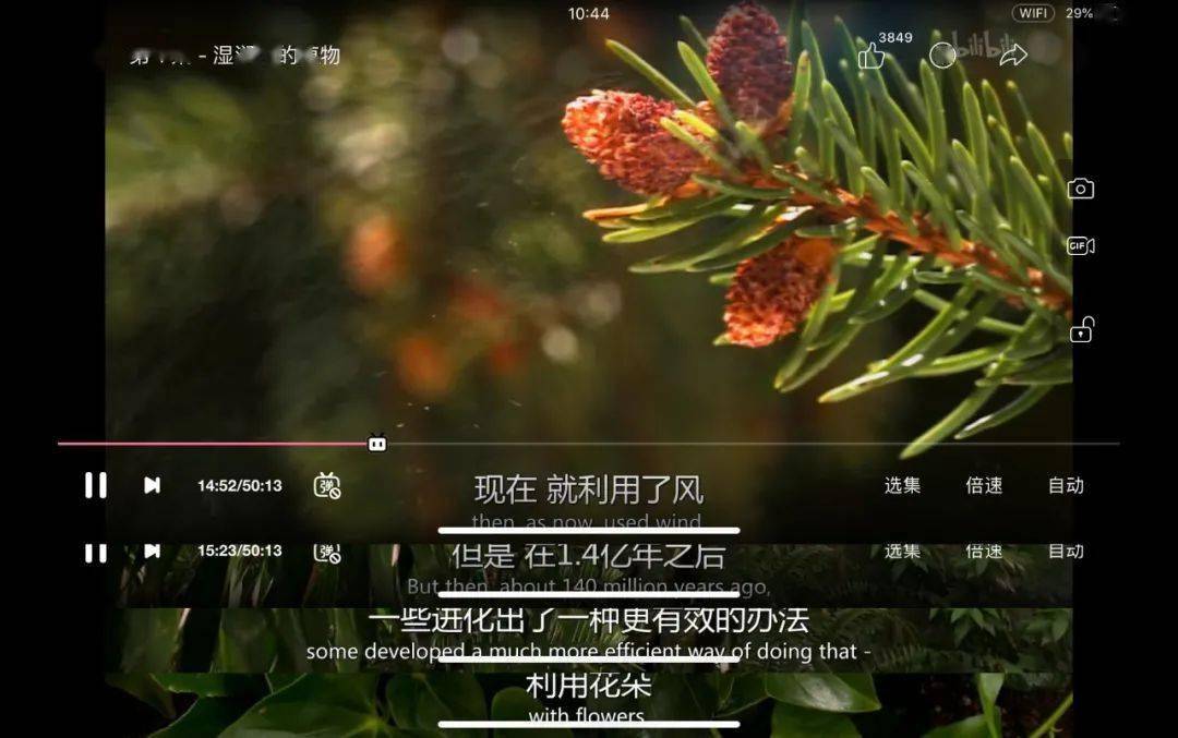 真心推纪录片植物王国