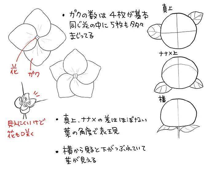 马克笔手绘 |插画教程温柔梦幻樱花画法!超详细步骤图