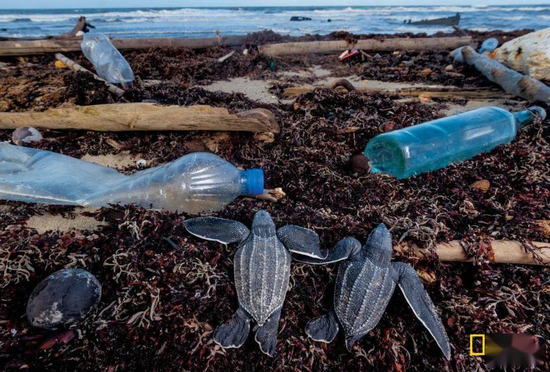 出处国家地理中文网