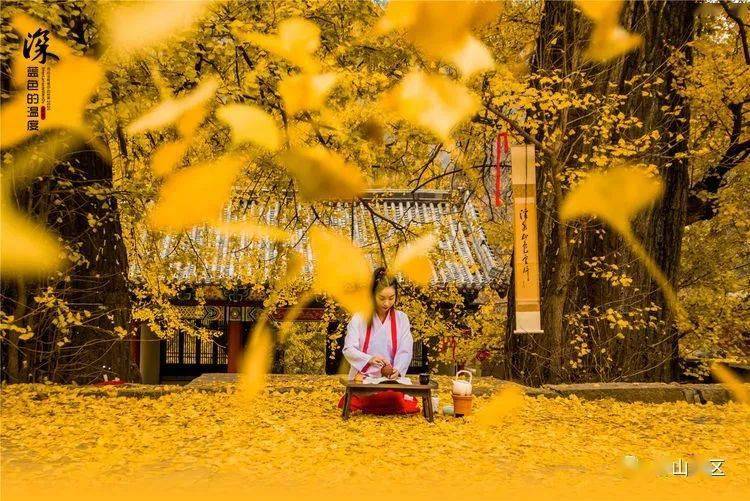 禅境佛影玉泉寺
