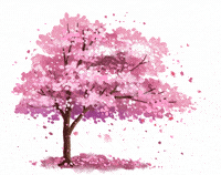 银行还是不是“铁饭碗”？985学霸告诉你真相! 越看心越凉！（最新发布）