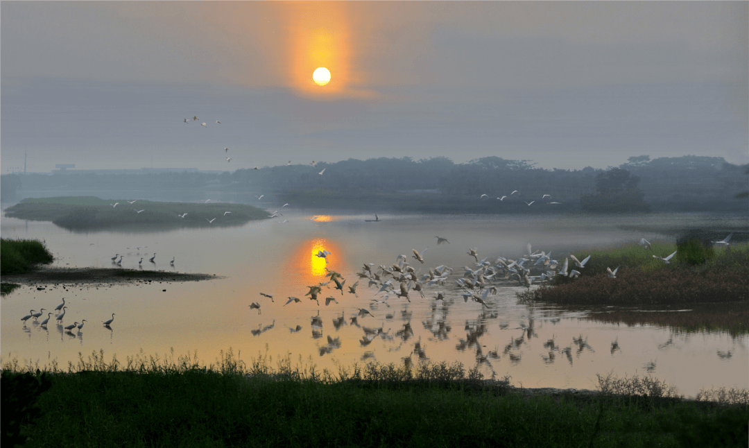 云东海国家湿地公园观鸟活动免费报名中