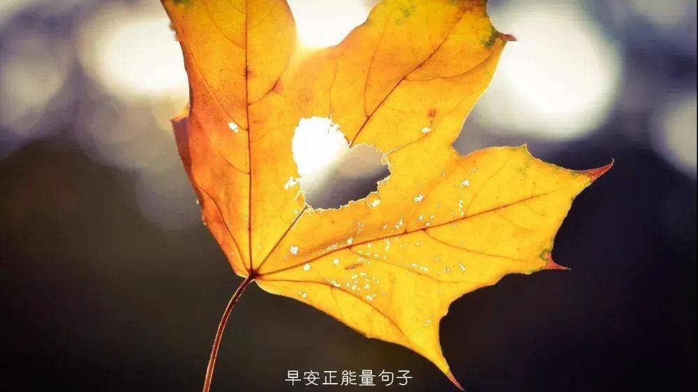 早安心语优美的语句 清晨的阳光唯美句子