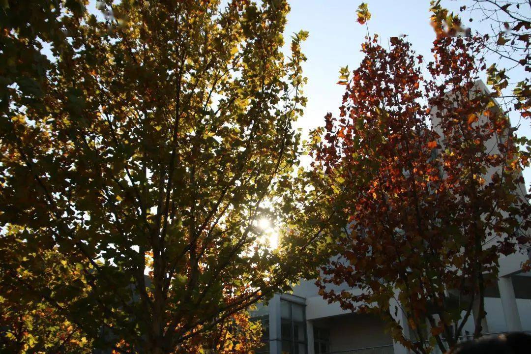 
新媒体中心开展单反相机使用技术培训“AG亚娱集团”(图4)