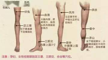 腿诊:人病腿先知,从腿部预测身体疾病!_经络