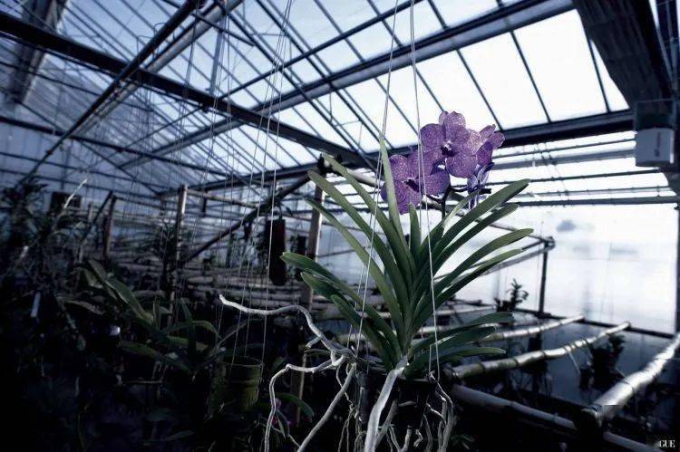 皮肤|第一瓶贵妇面霜怎么选？