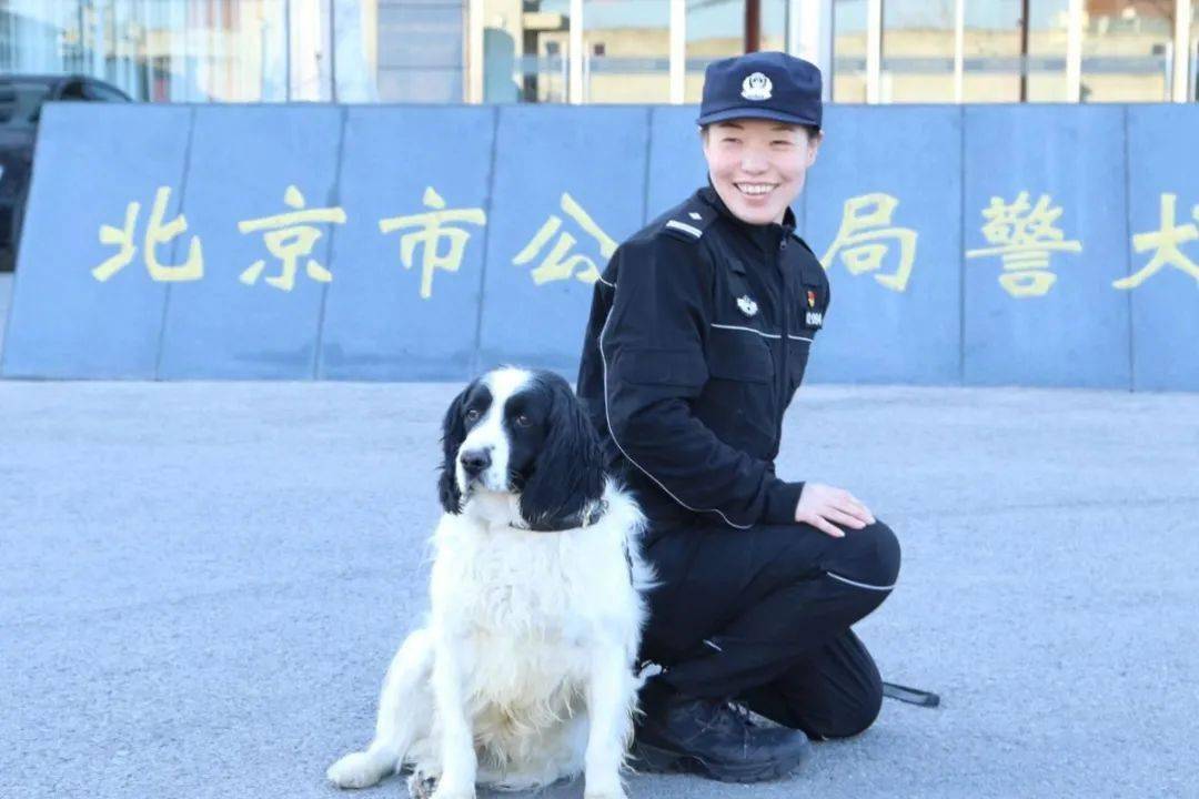 警花与警犬,爱上就别无选择!