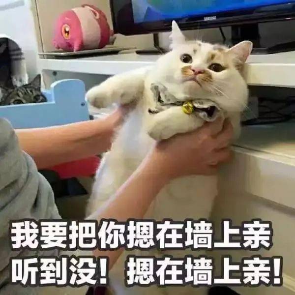 我今晚去你家表情包 我要把你摁在墙上亲表情包