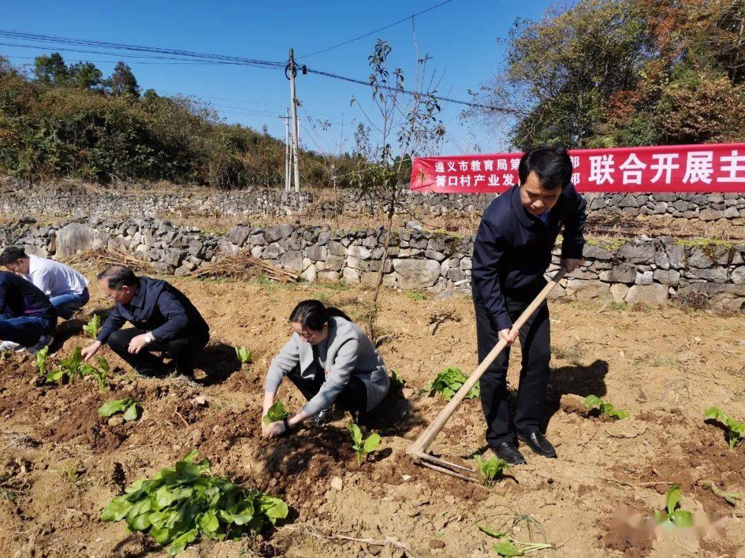 余庆县城有多少人口_这才是该去的地方,除了美得窒息的景色,还不担心晒成 油(3)