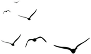 2020年中国心理学大_中华心理学协会——《2020年会员新规》