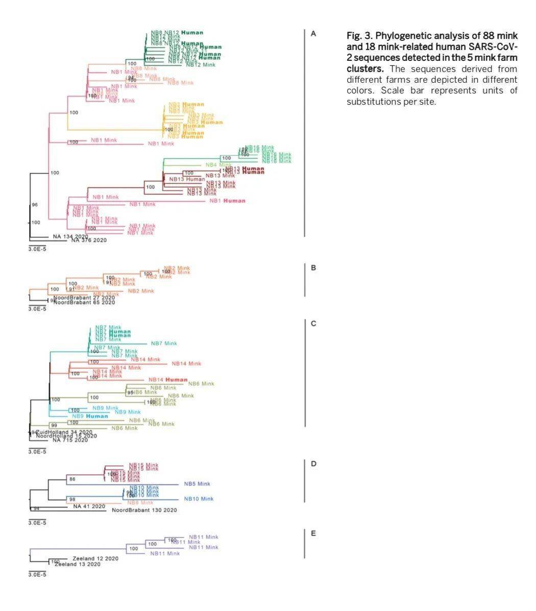 什么是双向传播 a8e5ff05a27e4ef097cf689dac3470a3.jpeg