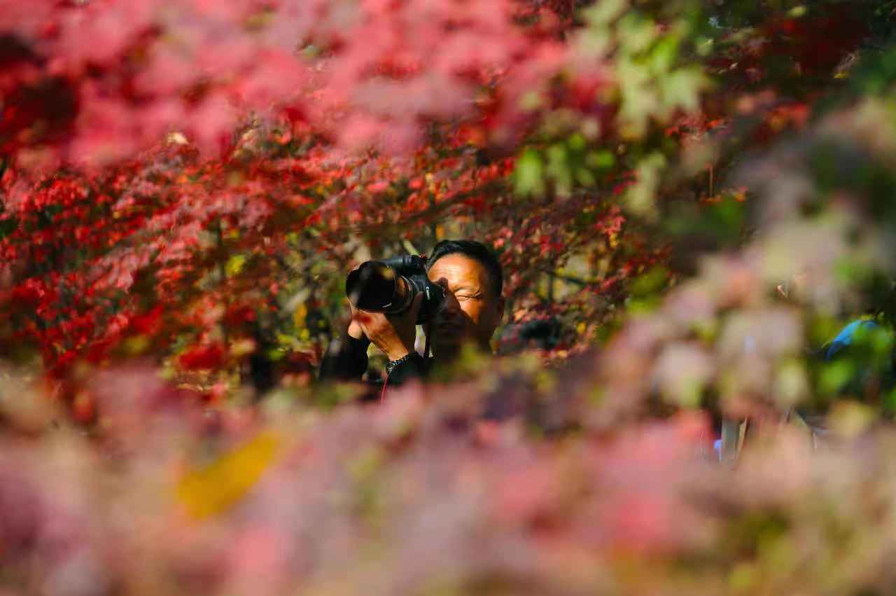 淮南|淮南八公山：为什么镜头都对准了这儿