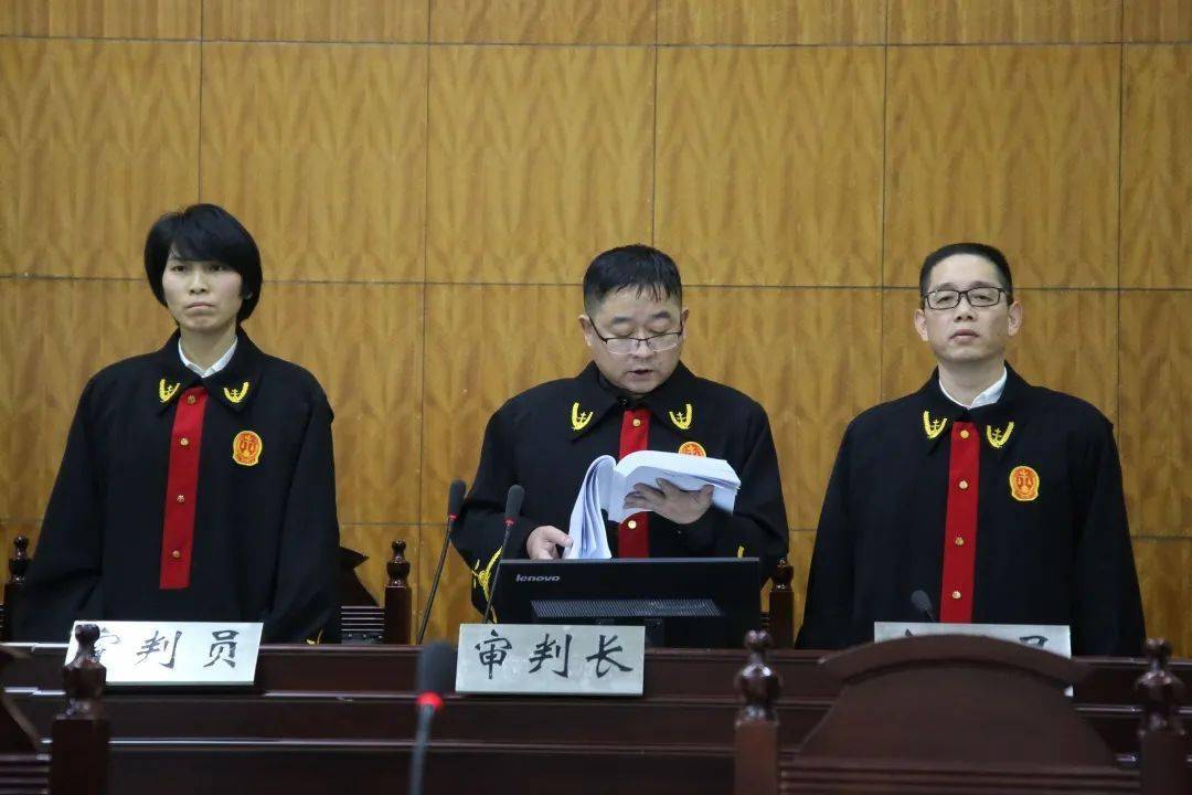 枞阳县人民法院一审公开宣判章孝求涉黑案