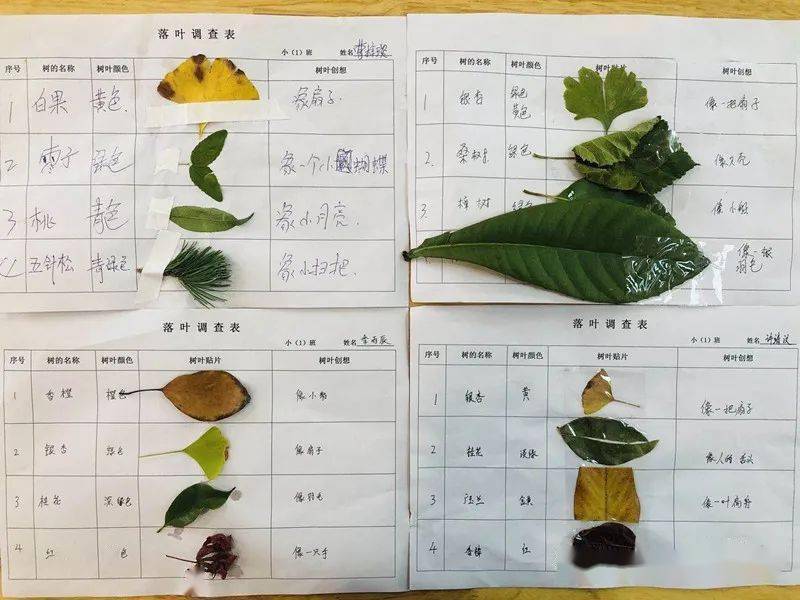 层林什么染成语_成语故事简笔画