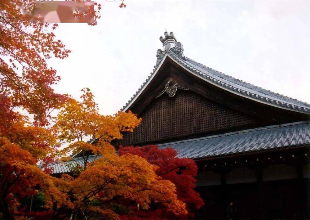 建筑素材日本京都古建筑之美の细节