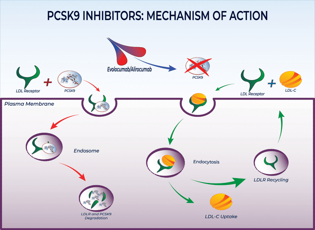 234babb2a5cc4d5dbbb86755fa825510.png