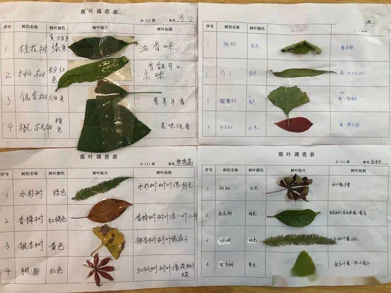 层林什么染成语_成语故事简笔画