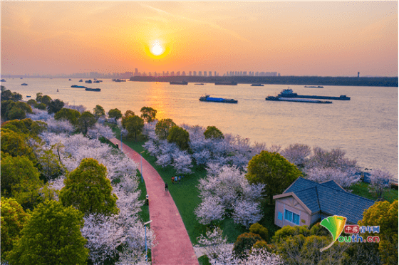 古城焕新颜，南京打造“最美滨江岸线”_长沟