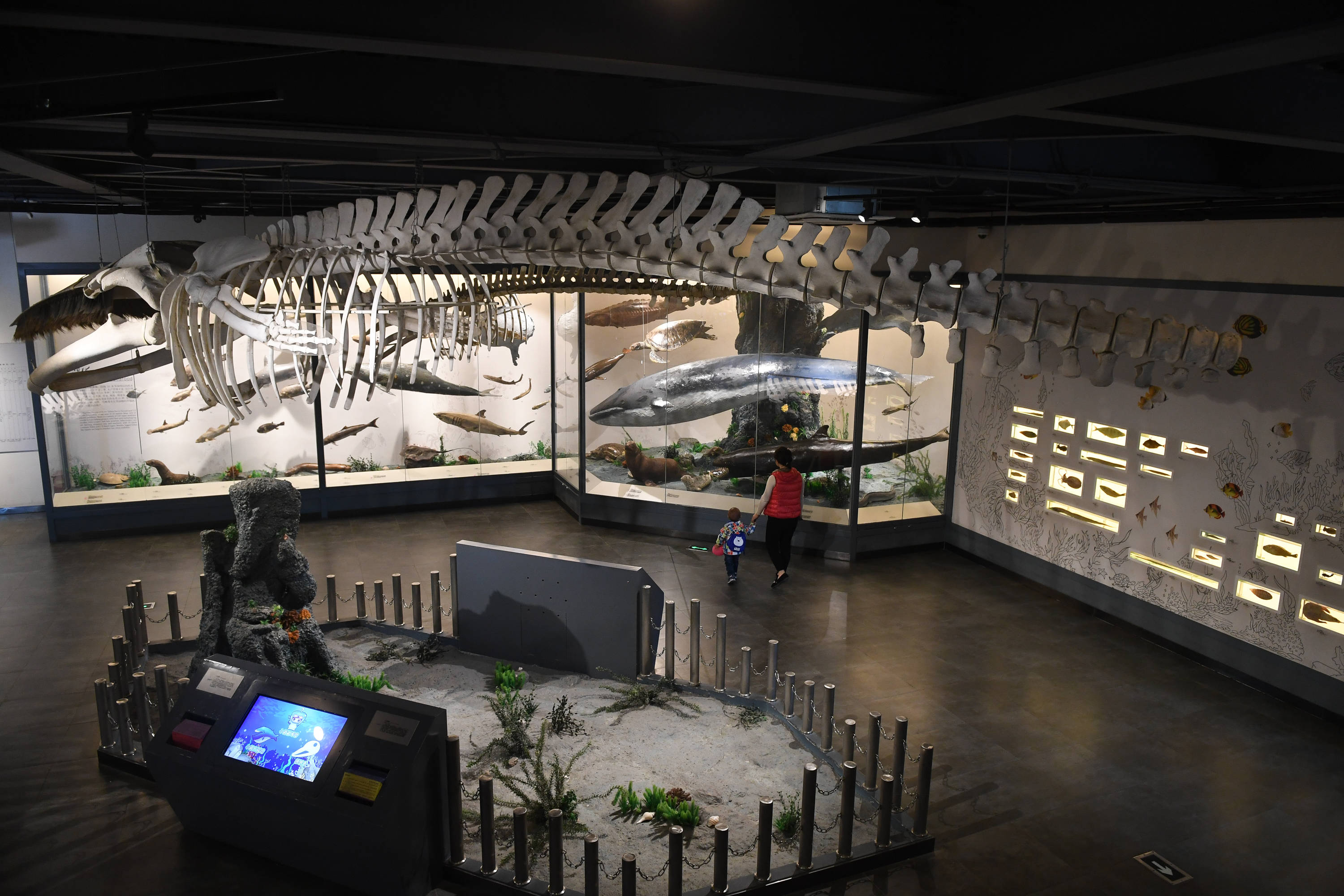 新华社|初冬里的南通博物苑