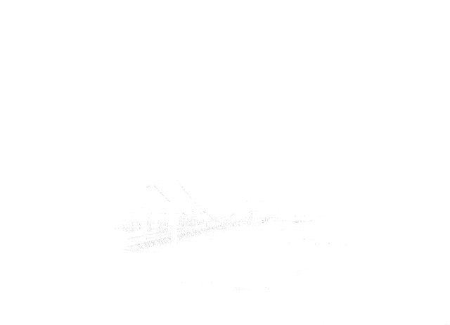 种  责任 过好紧日子 必须内化于心 外化于行 固化于制 用精打细算的