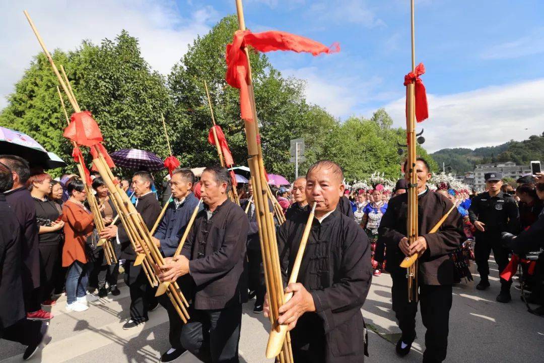 贵州苗族人口政策_贵州苗族人口分布图(2)