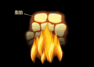 手臂|身体这个部位，男生怕它细，女生怕它粗.....