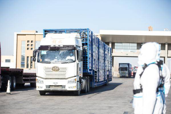 首批|3万只蒙古国捐赠羊，齐了！