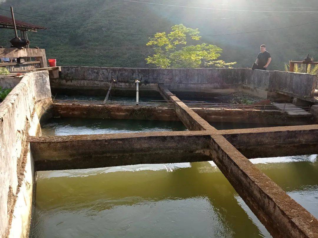 云浮市|西江边上，那些传奇……