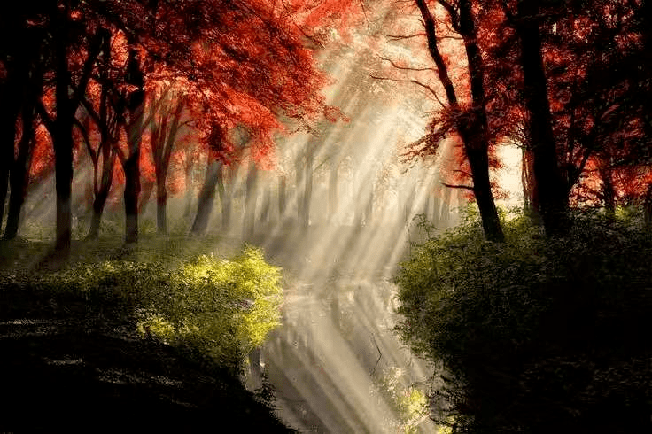 39bbf0a1bfbb4edf936bbee2b7acd636.png