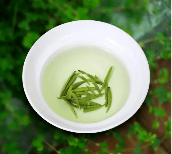 江苏12种非著名绿茶大赏