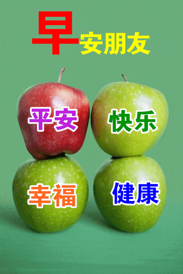 早上好表情包,鲜花带去我的问候,天天好心情!