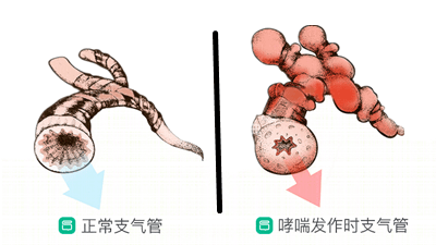 7ac096613ac7446db883c4d273fd0657.png