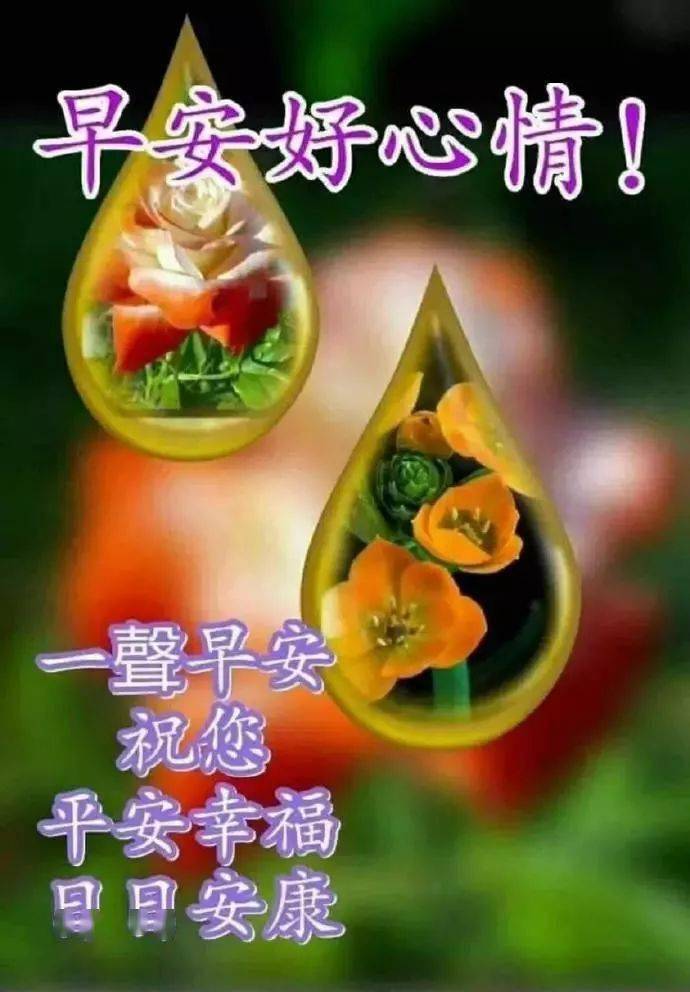 11月15日,最漂亮早上好动态表情图片大全,早晨好美图大全