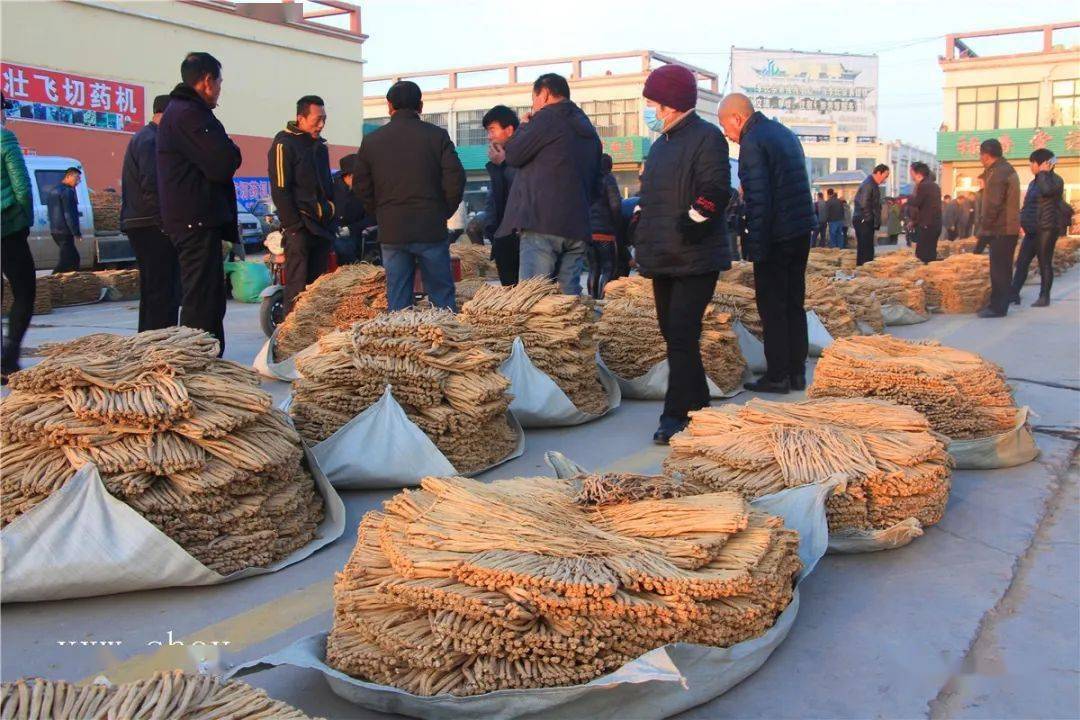 陇西首阳中药材交易市场一撇