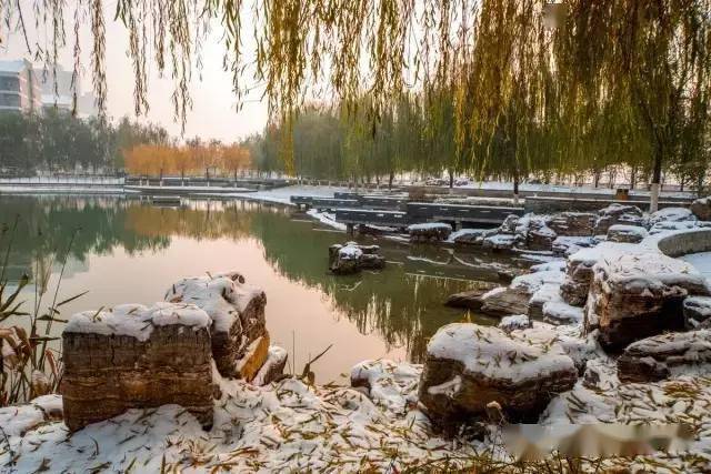 1902→2020,河北师大,遇见你的那个秋天,刚刚好…_师范