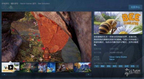 《蜜蜂模拟》结束Epic独占上架Steam！11月18日发售