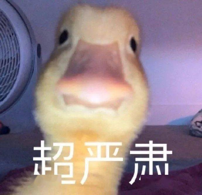 蒙淇淇|E句话看天下丨凡尔赛公主为她的“艺术夸张”道歉了？