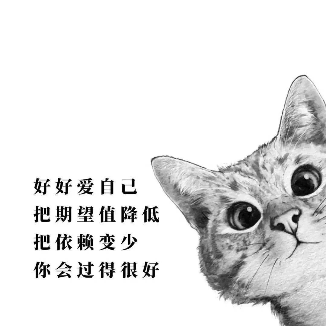 做不成伴侣,却放不下感情;做不成知己,却忍不住联系!