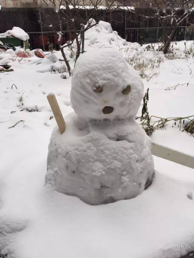 大雪过后出现的各种奇葩雪人_手机搜狐网