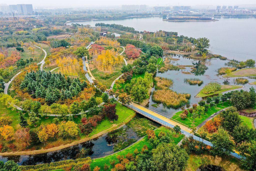 河南郑州:航拍初冬北龙湖森林公园 植被披彩美不胜收