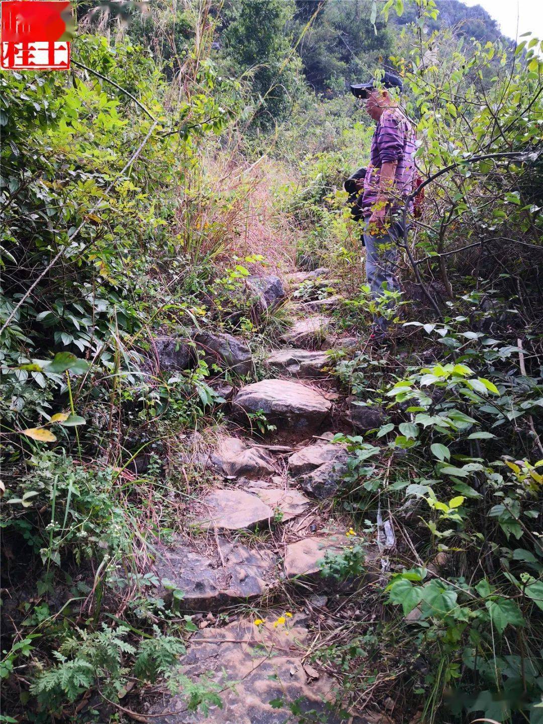 猴山背古道及石刻_桂林