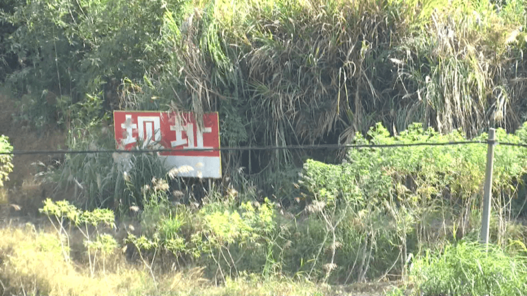 白濑人口_白濑图片文豪野犬